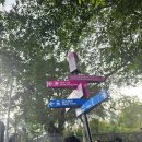 별빛광장 | 홍콩 일일워킹투어 별빛든든투어 후기