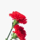 다비치안경전주평화사거리점 이미지