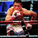 GGG 복싱 이미지