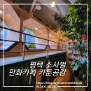 평택 비전동 소사벌 만화카페 카툰공감 소사벌점 2시간 패키지 이용 후기
