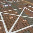 능동초교 이미지