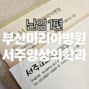 마리아내과의원 네이버블로그