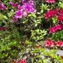 의자펜션 이미지