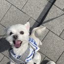 비타민동물메디컬센터 이미지