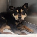 부은농장 이미지