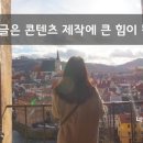 샵일구구공 이미지