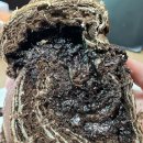 원데이브레드(One Day Bread) 이미지