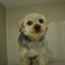 신석초교 이미지