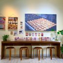 타코야끼 in 문어 | 🍡 전주 신시가지 도쿄식 타코야끼 맛집, 타코니코 후기