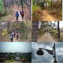 일자산자연공원(허브천문공원) 이미지