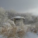 1월 23일 (일요일)[ 07:00 출발] 전남 광주 국립공원 무등산(해발1,187m) 새인봉 눈꽃산행 이미지