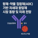 메디에셋 | 항체-약물 접합체(ADC) 기반 차세대 항암제 시장 동향 및 미래 전망