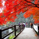 주왕산맛집펜션 이미지