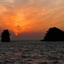 [서중마을]굴 동아일보