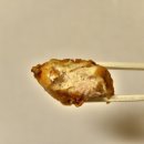 노랑통닭울산야음점 이미지