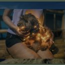 웰리힐리파크 관광단지 이미지