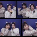 미니앤스위치 이미지