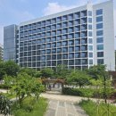 강남-180 이미지