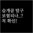 천금프린트 | 슬개골 탈구 보험 적용 조건과 보장 확인