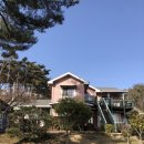 플랜비마켓 이미지