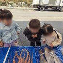 아이별어린이집 이미지