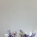 샵 마음을 담다 이미지