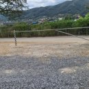 풀잎패밀리하우스 이미지