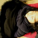 먹고豚(돈)
