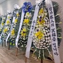주엽플라워 이미지