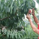 송암1리 이미지