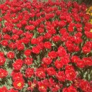 삼봉민박 이미지