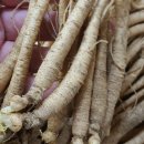 덕인농장 이미지