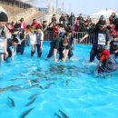 홍천강 둔치 이미지