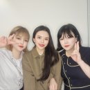 꼬꼬퀸즈 이미지