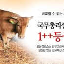 조은선물 이미지