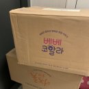 그레이트북스 베베코알라 21개월 아기 초대박후기! 베베코알라적기 두돌아기 전집 추천