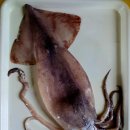 집밥&퓨전요리 이미지