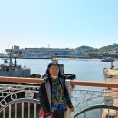 [삼학도에서 본 목포연안여객선 터미널] 이미지