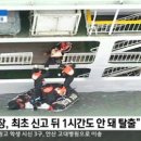 진도1호 이미지