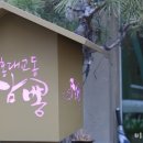 홍대병설유치원 이미지