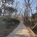 창원 웅천왜성 이미지