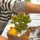 용정농장 이미지