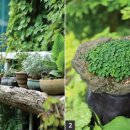 나의 정원 이미지