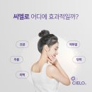 씨엘로주