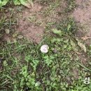 백모농장 이미지