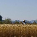 원 헬스 이미지