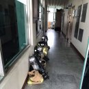 진교119안전센터 이미지