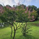 위례약수 이미지