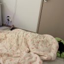 미뇽 마니에르