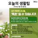 오늘의 생활 팁 - 산나물과 독초 비교 이미지